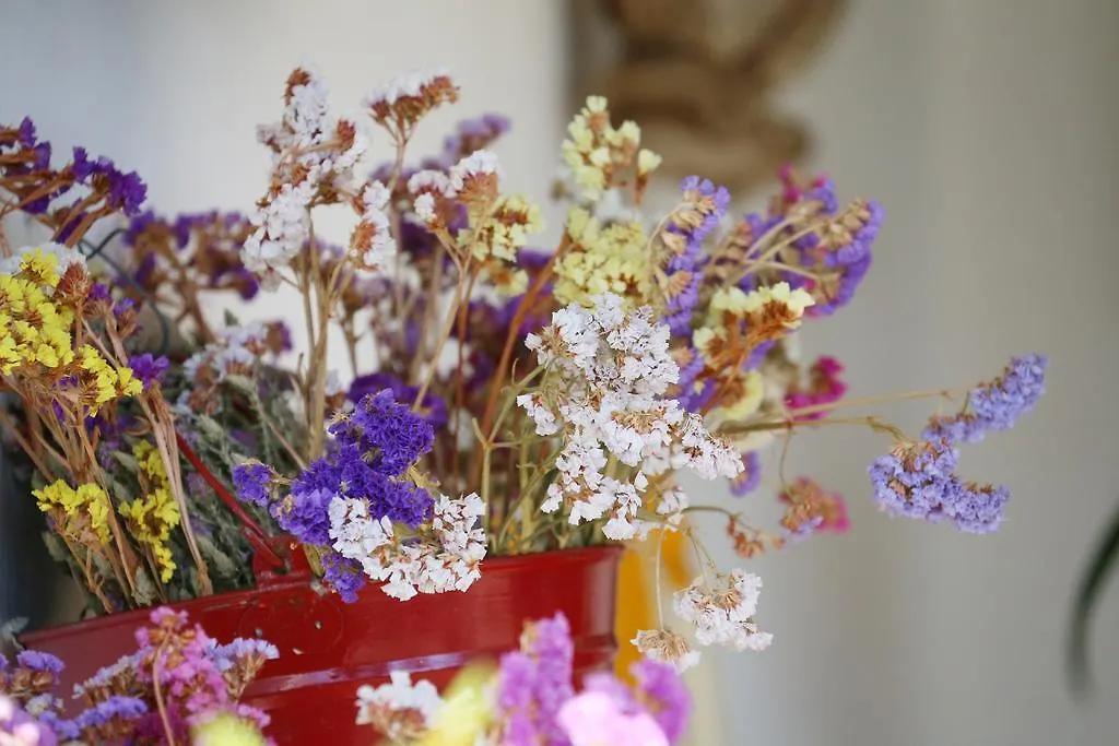 Country house Sobral De Baixo Guest House Castro Marim